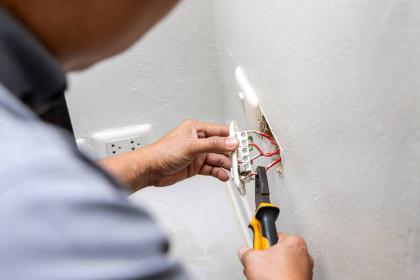 Best Ceiling Fan Installation Electrician  in Cascade, IA
